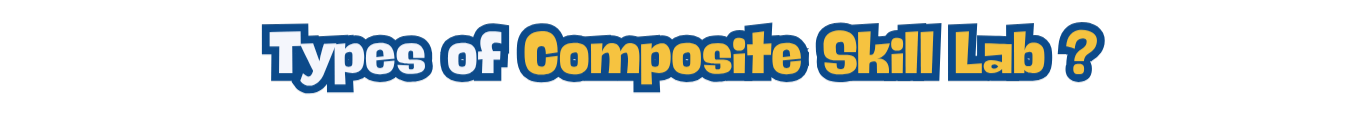 Types of Composite Skill Lab